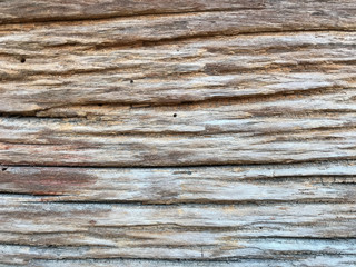 Aged wood texture, cutaway wood background, fibers