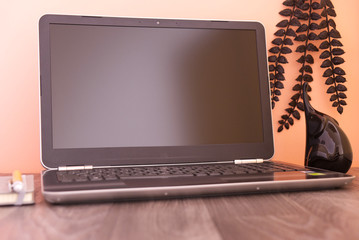 laptop on the table with figure, plant and notebook, pink