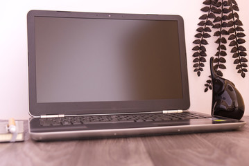 laptop on the table with figure, plant and notebook, white