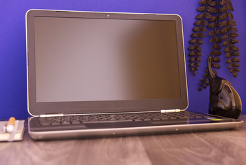 laptop on the table with figure, plant and notebook, blue