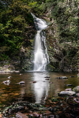 Waterfall in the woods