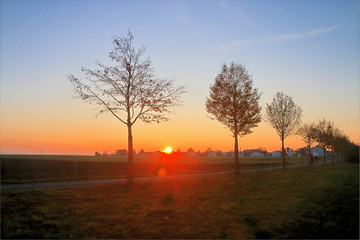 Fototapeta na wymiar Autumn sunset on the outskirts of town.