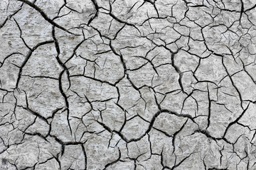 Dry soil texture