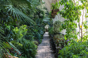 Big Greenhouse full of plants located in Chateau Lednice