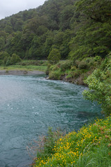 Naklejka na ściany i meble Makarora River. South Island New Zealand.. Haast Pass Makarora