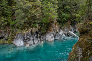 Fototapeta na wymiar Blue Pools. River. South Island New Zealand.. Haast Pass Makarora