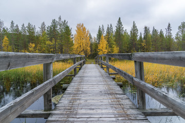 Obraz premium Mountains, forests, lakes view in autumn. Fall colors - ruska time in Iivaara. Oulanka national park in Finland. Lapland, Nordic countries in Europe