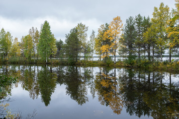 Fototapeta na wymiar Mountains, forests, lakes view in autumn. Fall colors - ruska time in Iivaara. Oulanka national park in Finland. Lapland, Nordic countries in Europe