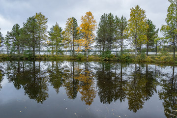 Obraz premium Mountains, forests, lakes view in autumn. Fall colors - ruska time in Iivaara. Oulanka national park in Finland. Lapland, Nordic countries in Europe