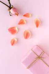 Gift boxes decorated on colorful background