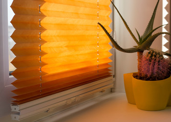 Pleated blinds with orange folded fabric on the window close up. On the windowsill stands home...
