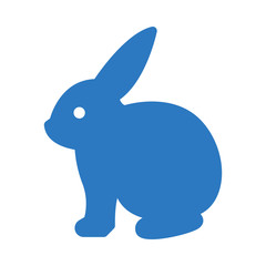 Fototapeta premium bunny