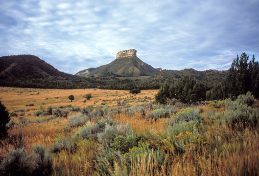 Point Lookout, Mesa Verde National Park