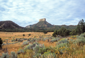 Point Lookout, Mesa Verde National Park