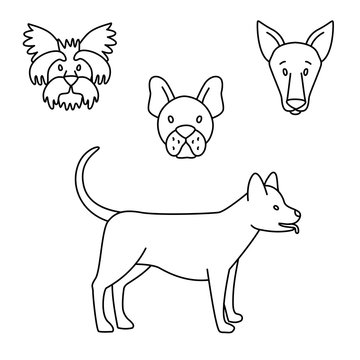 Breeds of dogs set black and white. Vector illustration doodles
