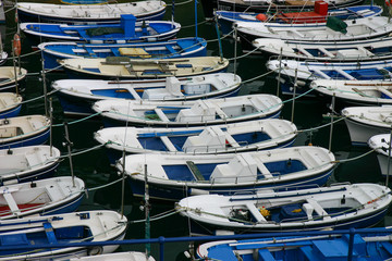 boats in the marina