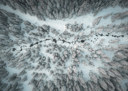 Winter wonderland in Mountains in Washington