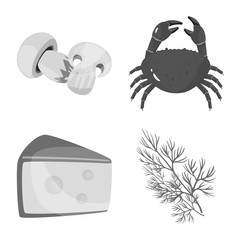 Isolated object of spices and aroma symbol. Set of spices and product stock vector illustration.