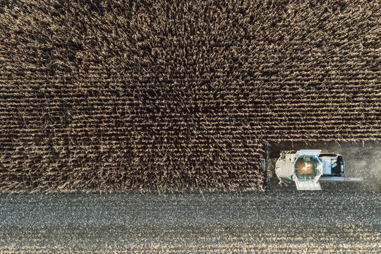 Aerial view of combine harvester harvesting corn crops in field