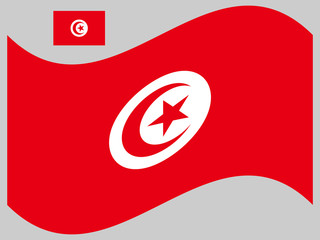Wave Tunisia Flag Vector illustration eps 10