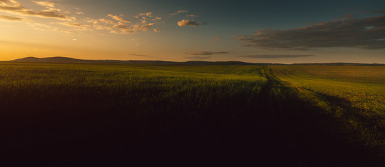 Sunset on the field in Germany