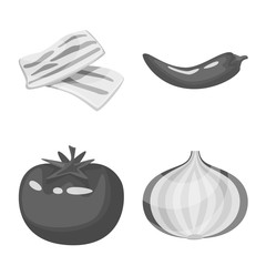 Vector illustration of spices and aroma icon. Collection of spices and product stock symbol for web.