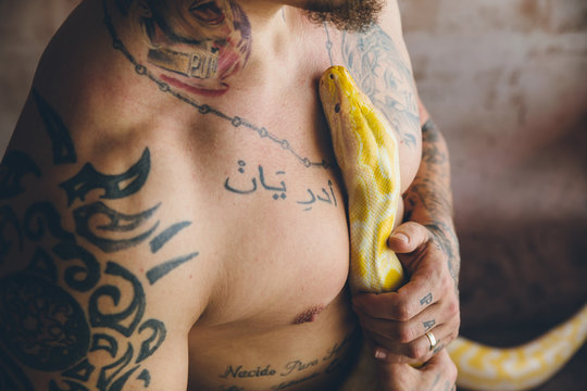Tattooed man hugging a python