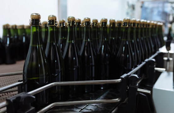 Bottles of Cava on conveyor