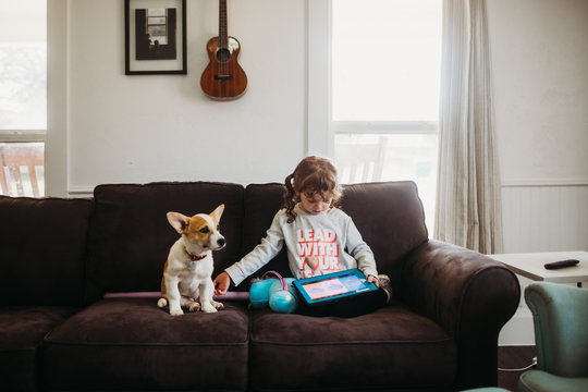 Young girl petting corgi puppy while playing tablet on couch