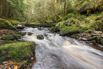 Blakehope Burn waterfalls