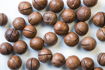 Macadamia nuts. Nuts on a white background.