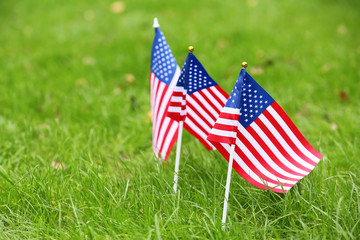 USA flags outdoors. Memorial Day celebration