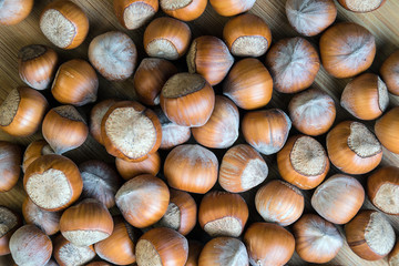 background of hazelnuts