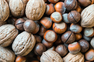 Still life of nuts on a white background. Assortment of nuts.