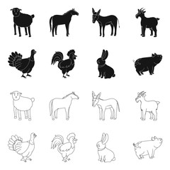 Vector design of breeding and kitchen sign. Collection of breeding and organic vector icon for stock.