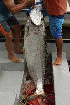 Fischfang