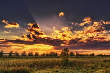 Nature_beauty_Calarasi