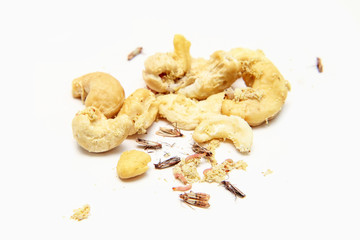 A picture of cashew nuts infested with caterpillars and butterflies of the meal moth. Isolated on a...