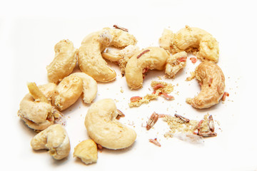 A picture of cashew nuts infested with caterpillars and butterflies of the meal moth. Isolated on a...