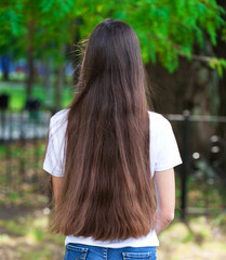 Female brunette hair, rear view, summer park