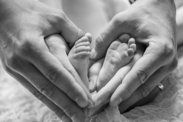 Baby and the parents