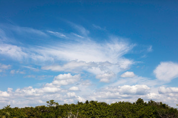 Great clouds over bushes, Sanibel Island, Florida, USA