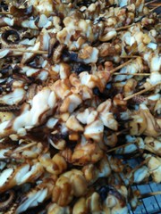 close-up of grilled squids, street food
