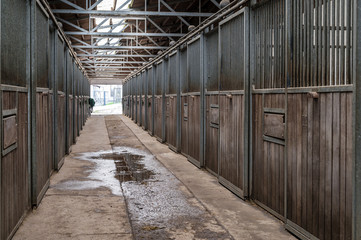 Blick in einen leeren Pferdestall eines Reiterhofes