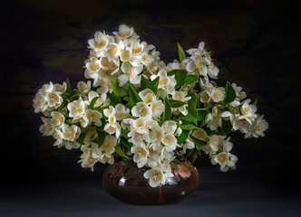 Obraz na płótnie Canvas bouquet of Jasmine black background