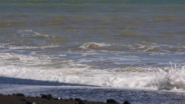 A big waves rolling on the beach in Cape Palliser