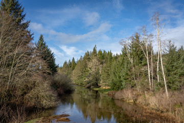 Roaring Creek Slough, Washington State, USA