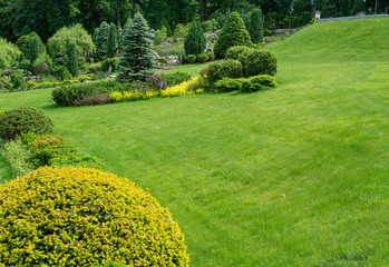 Obraz premium Green lawn, Landscape formal, front yard is beautifully designed garden. Beautiful view of landscaped tropical garden.