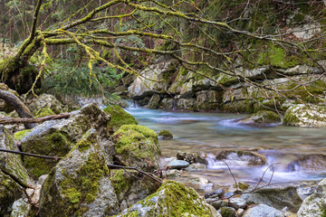 Beautiful fast mountain river in forest. Slovakia. © anatoliil
