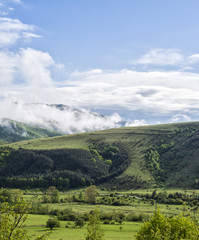 Green hill in the country side